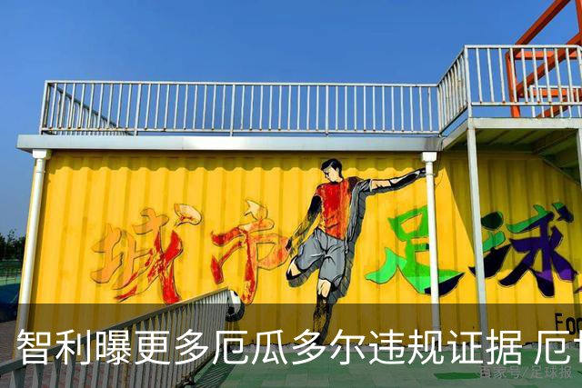 智利曝更多厄瓜多尔违规证据 厄世界杯资格或被取消